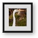 Buy Framed Print