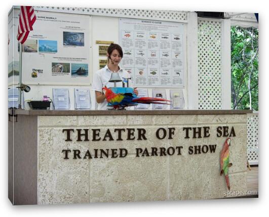 Theater of the Sea - Parrot Show Fine Art Canvas Print
