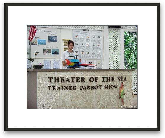 Theater of the Sea - Parrot Show Framed Fine Art Print