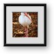 Buy Framed Print