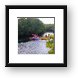 Kayaking in John Pennekamp State Park Framed Print
