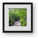 Buy Framed Print