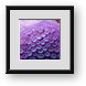 Buy Framed Print