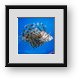 Buy Framed Print