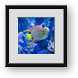 Buy Framed Print