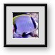 Buy Framed Print