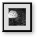 Buy Framed Print