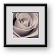 Buy Framed Print