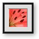 Buy Framed Print