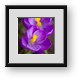 Buy Framed Print