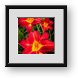 Buy Framed Print