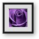 Buy Framed Print