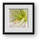 Buy Framed Print