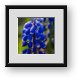 Buy Framed Print