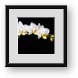 Buy Framed Print