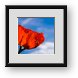 Buy Framed Print