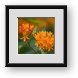Buy Framed Print