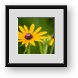 Buy Framed Print