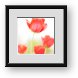 Buy Framed Print