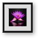 Buy Framed Print