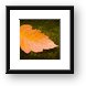 Autumn Leaf Macro Framed Print