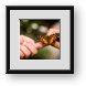Buy Framed Print