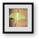 Buy Framed Print