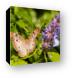 White Peacock Butterfly Canvas Print