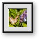 Buy Framed Print