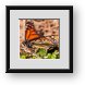 Buy Framed Print