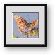 Buy Framed Print