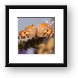 Painted Lady Butterfly Framed Print