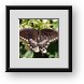 Buy Framed Print