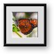 Buy Framed Print