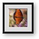 Buy Framed Print