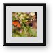 Buy Framed Print