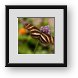 Buy Framed Print