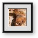 Buy Framed Print