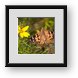 Buy Framed Print
