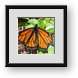 Buy Framed Print