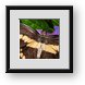 Buy Framed Print