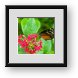 Buy Framed Print