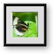 Buy Framed Print