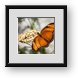 Buy Framed Print