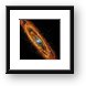Andromeda Galaxy Framed Print