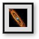 Buy Framed Print