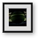 Buy Framed Print
