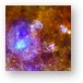 Life and Death in a Star-Forming Cloud Metal Print