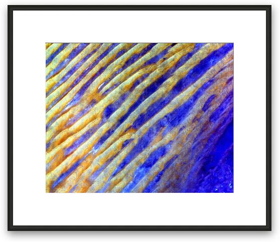 Blue Dunes Framed Fine Art Print