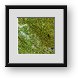 Buy Framed Print